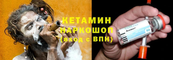 сатива Козловка