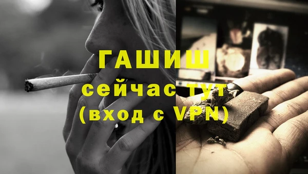 сатива Козловка