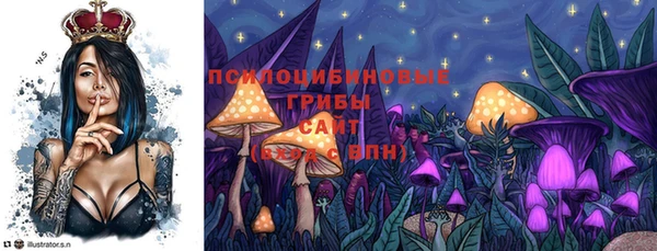 сатива Козловка