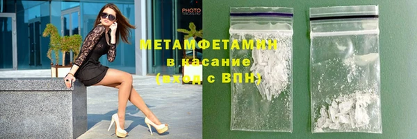сатива Козловка