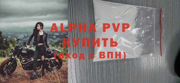 сатива Козловка