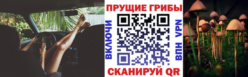 Галлюциногенные грибы MAGIC MUSHROOMS  даркнет как зайти  Ковров 