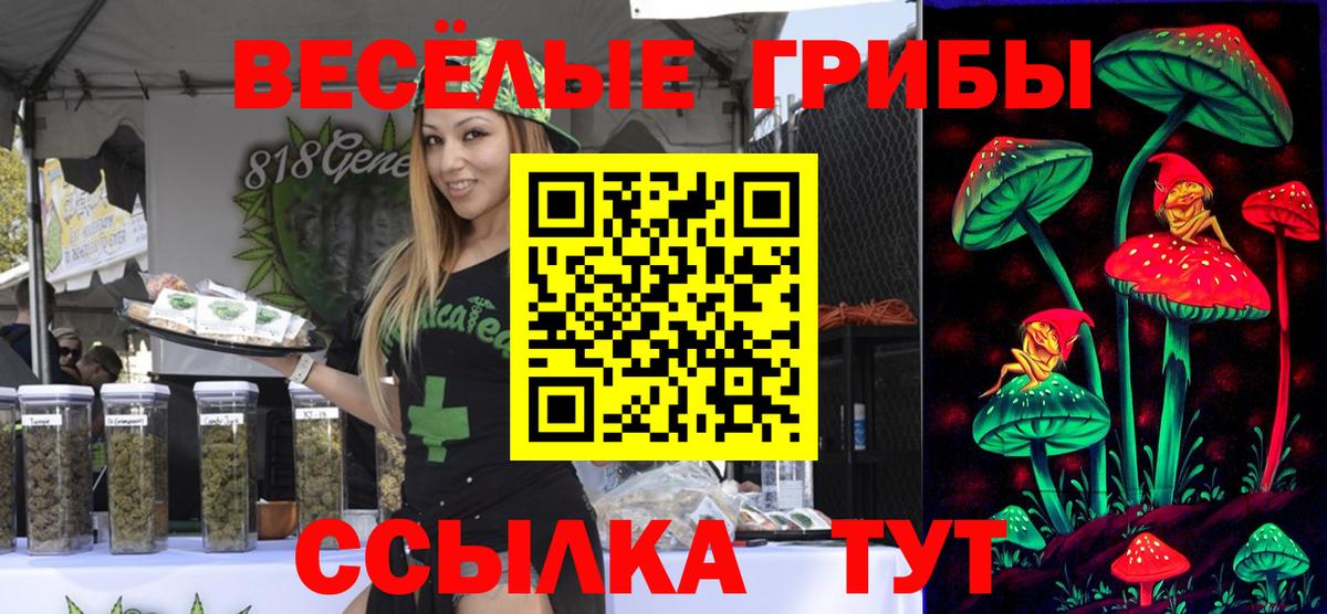 Ковров  Галлюциногенные грибы мухоморы  Псилоцибиновые грибы Magic Shrooms  Вход с VPN 