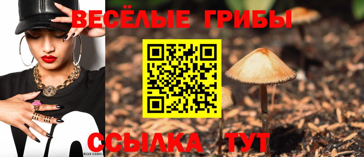 ГАШ  Вход с VPN  Ковров  Кокаин  A PVP СК кристаллы  Меф МЯУ МЯУ кристаллы  Каннабис 